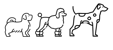 Dogs of NYC